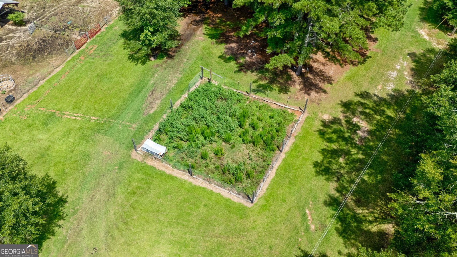 3521 Macon Highway Watkinsville - 12