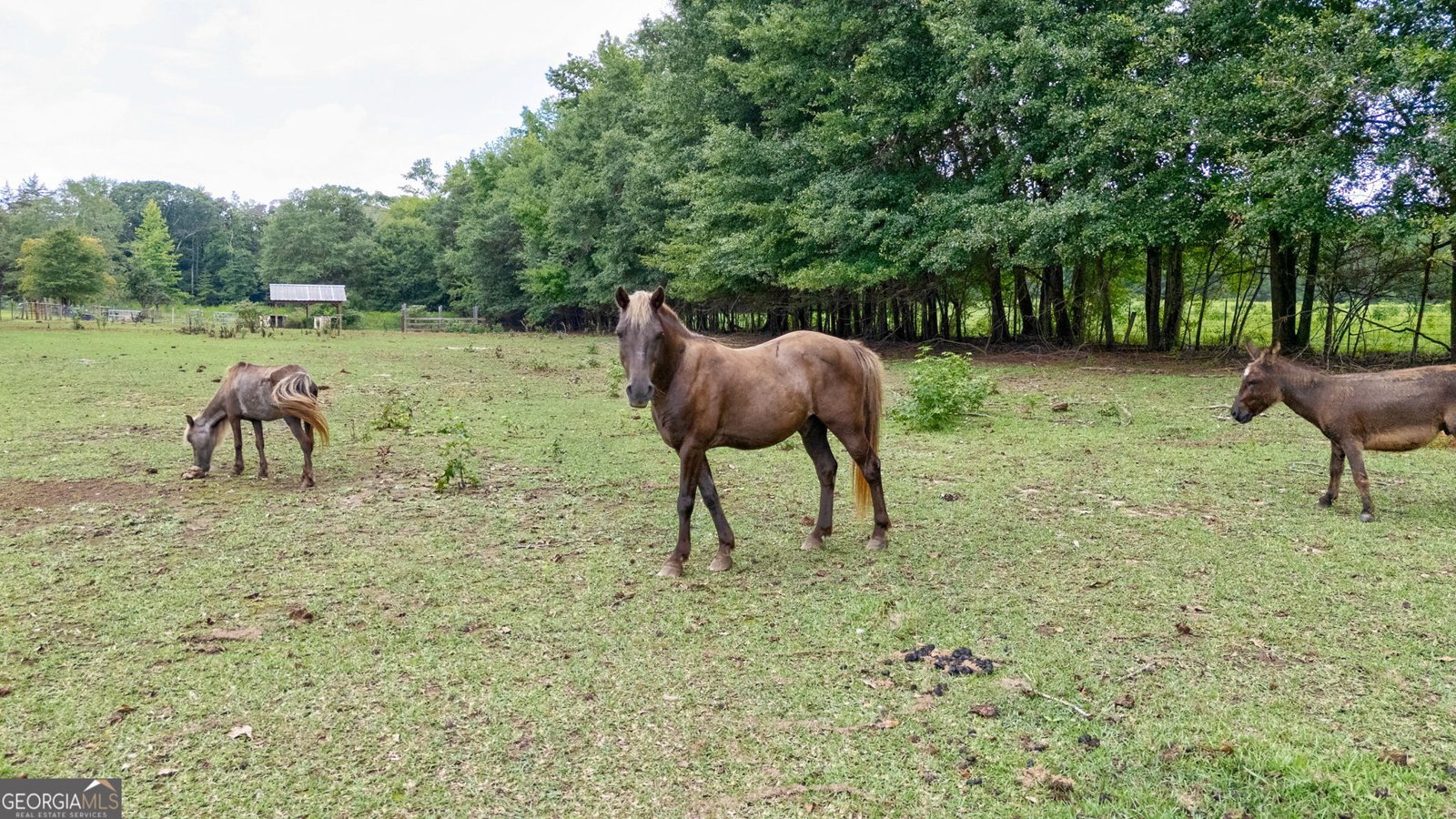 3521 Macon Highway Watkinsville - 4