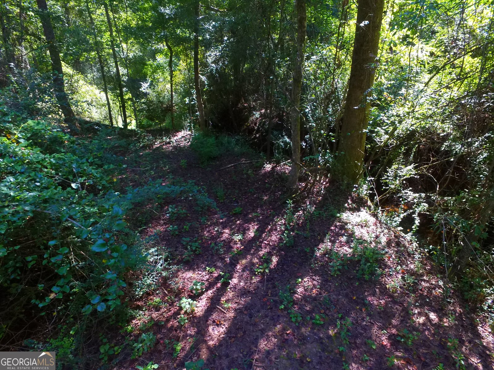 355 Dumas Road Forsyth - 45