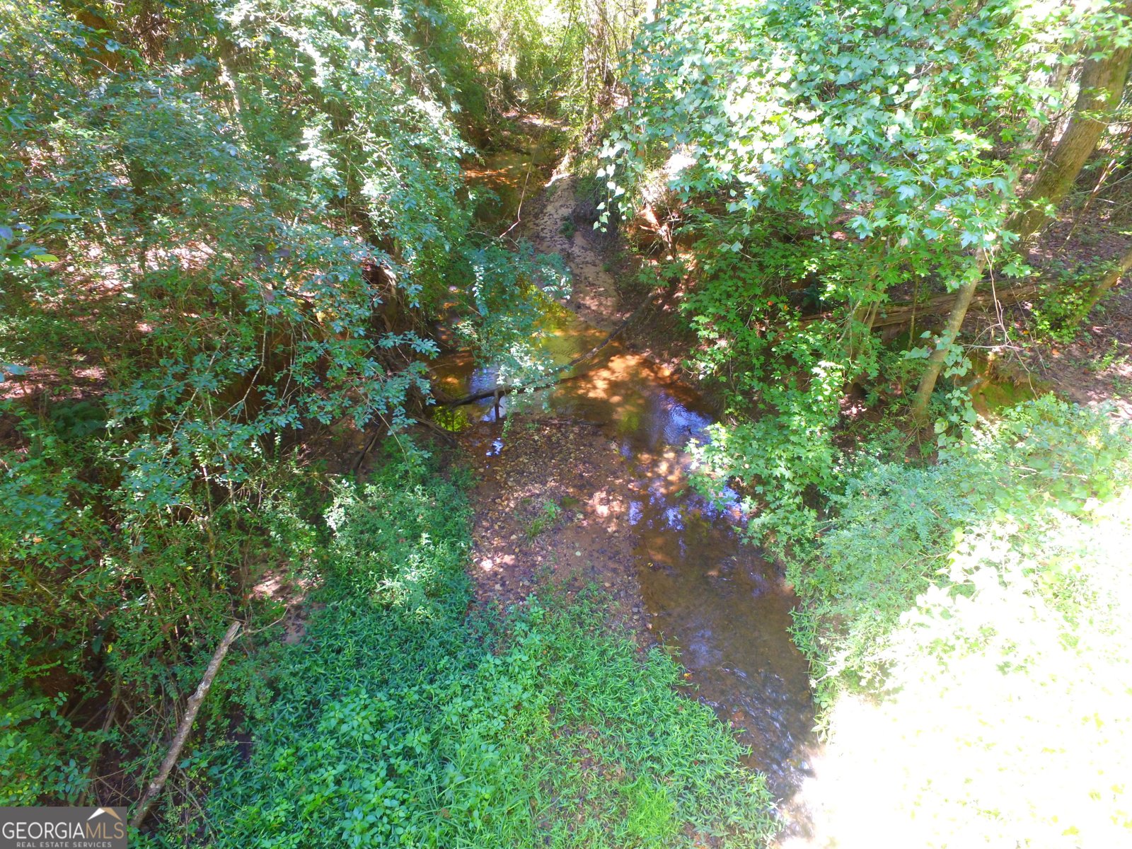 355 Dumas Road Forsyth - 47