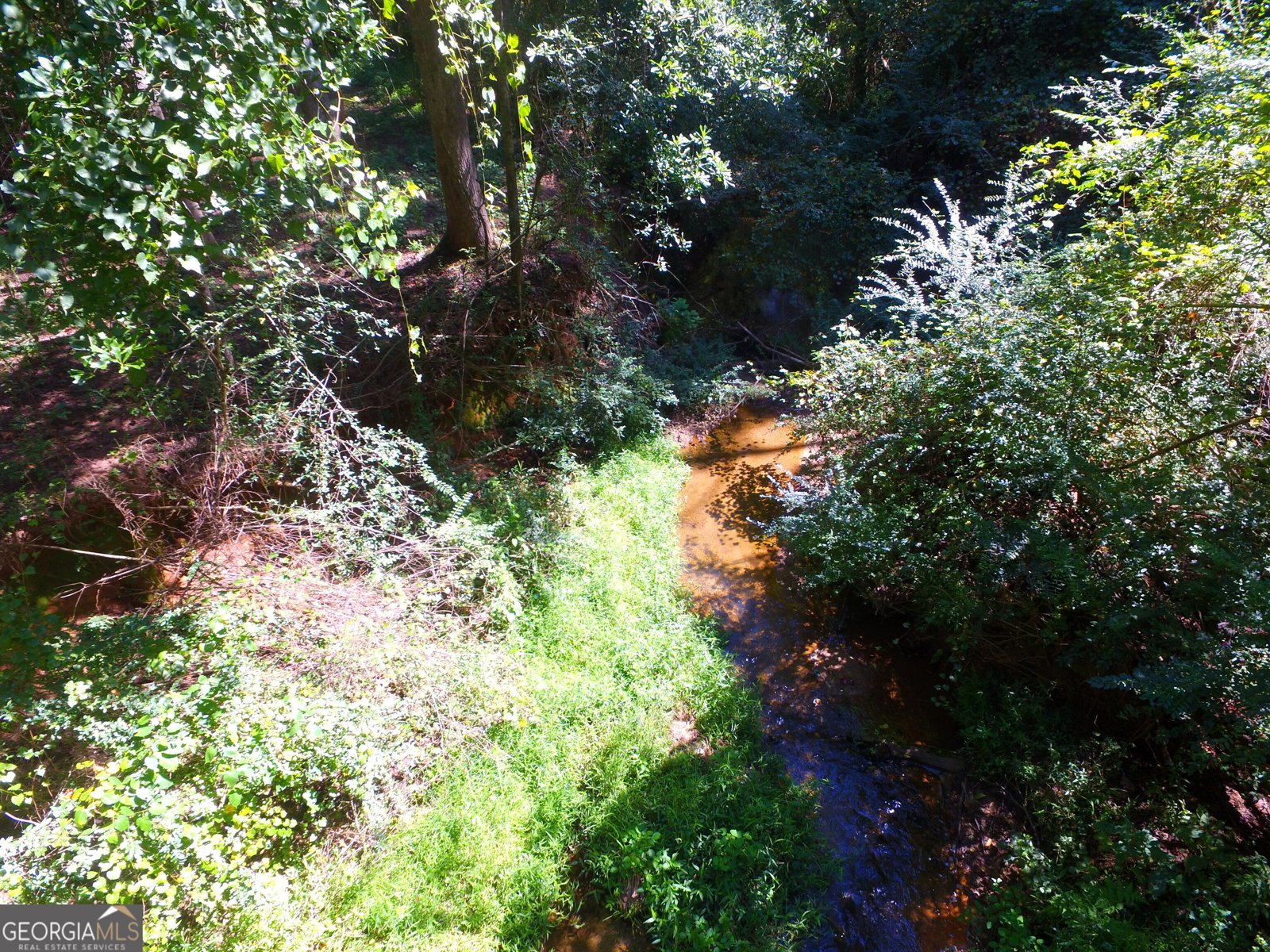 355 Dumas Road Forsyth - 48