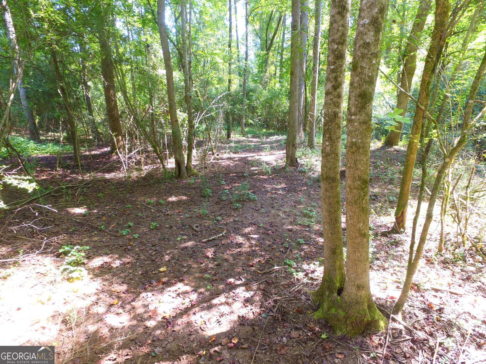 355 Dumas Road Forsyth - 49