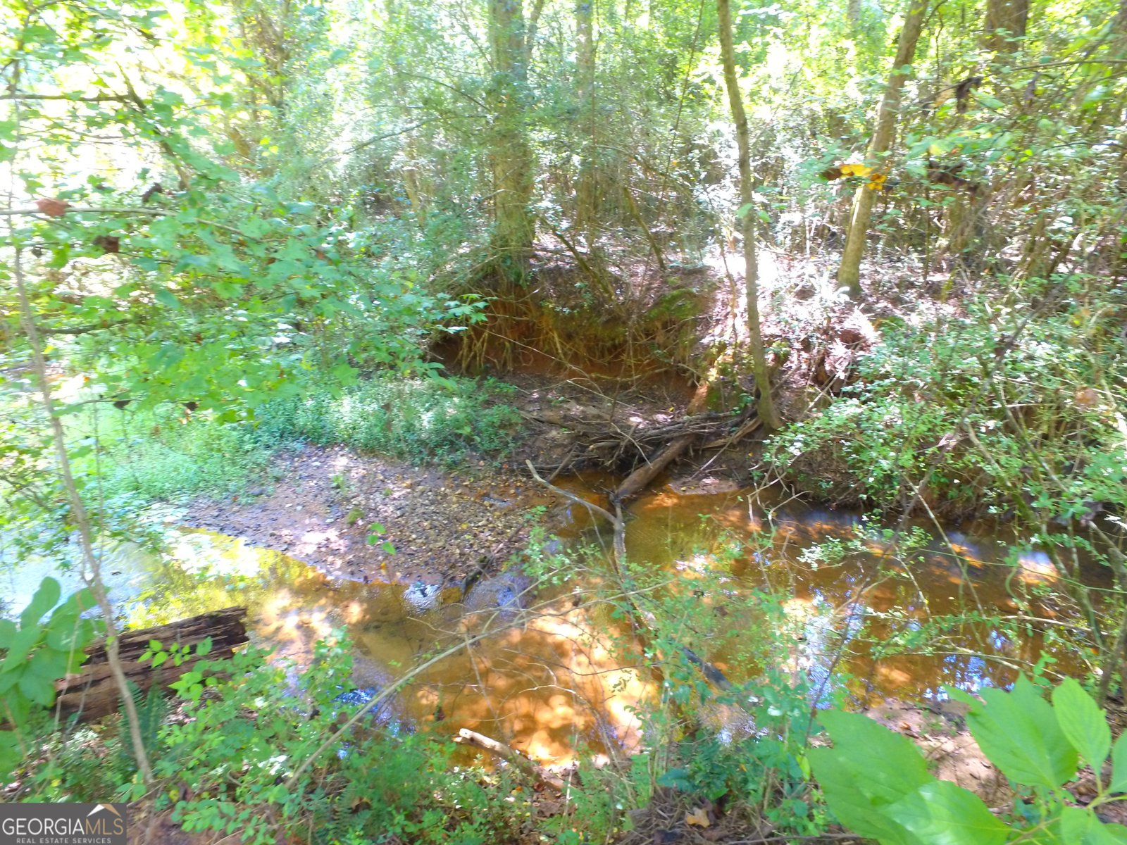 355 Dumas Road Forsyth - 50