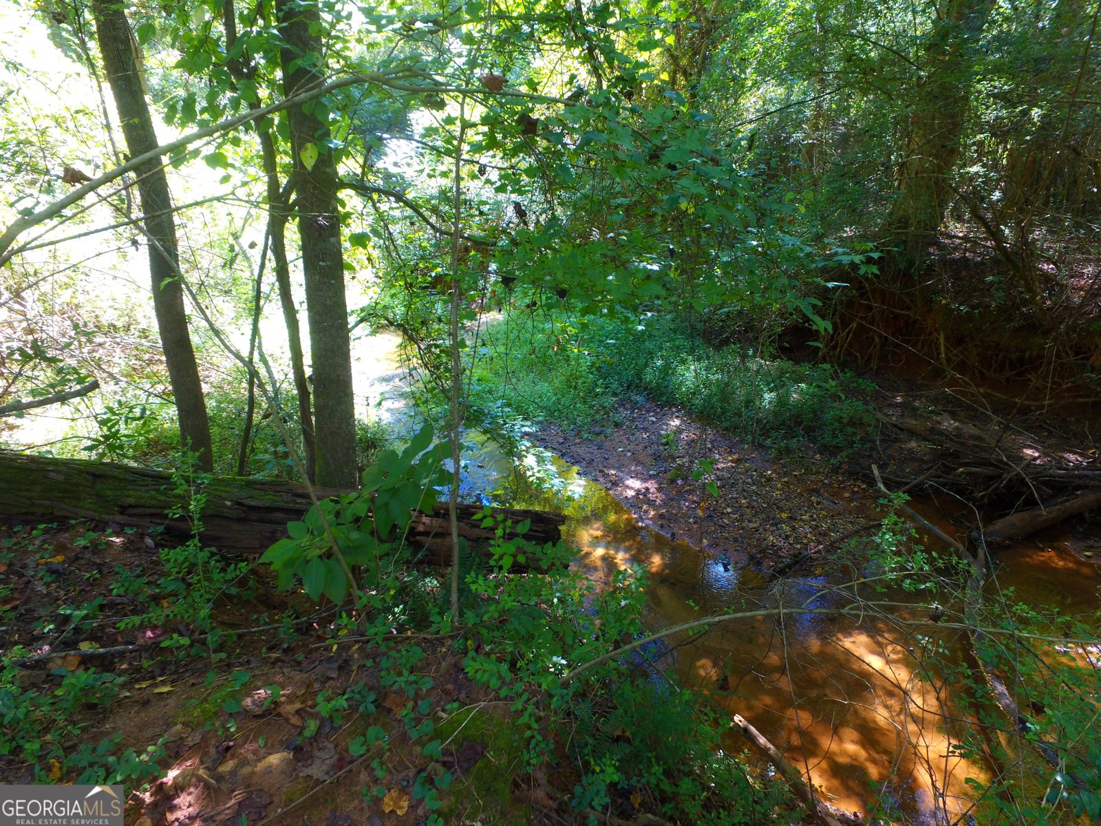 355 Dumas Road Forsyth - 51