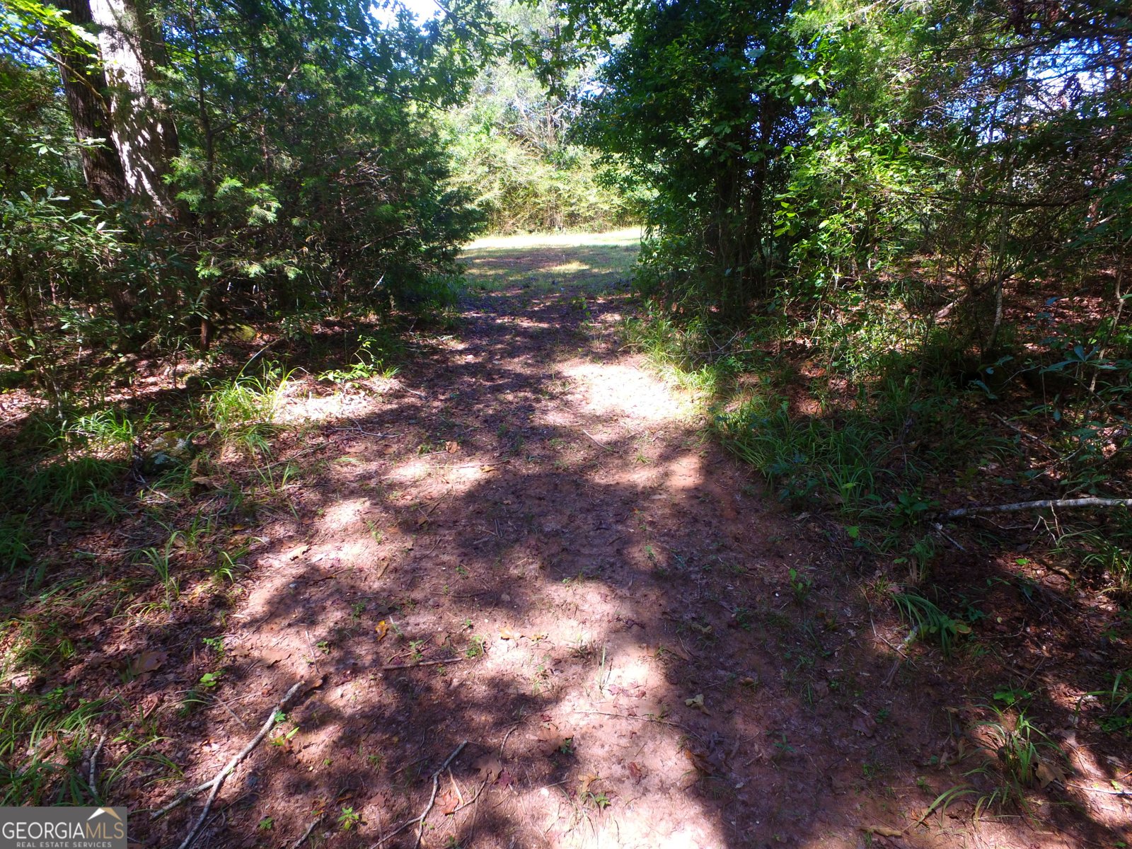 355 Dumas Road Forsyth - 53