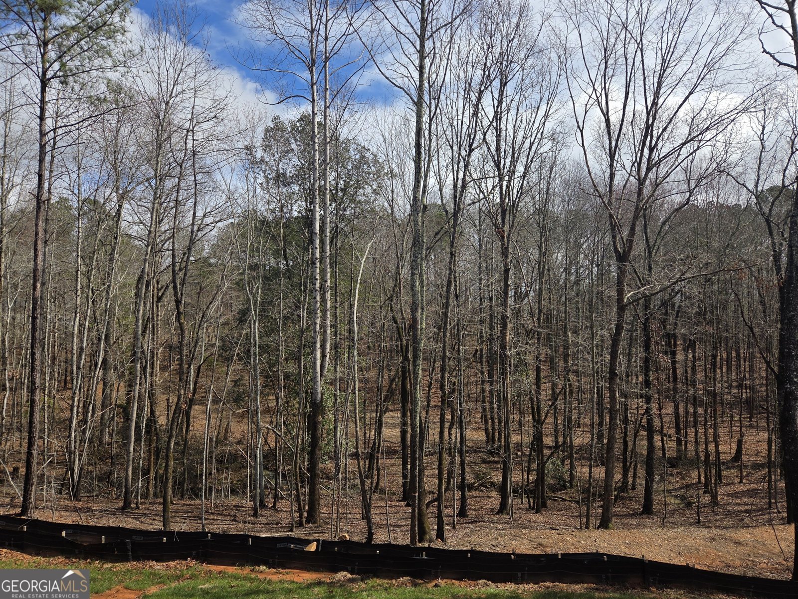 500 BENSON MEADOWS Drive Dallas - Photo 30