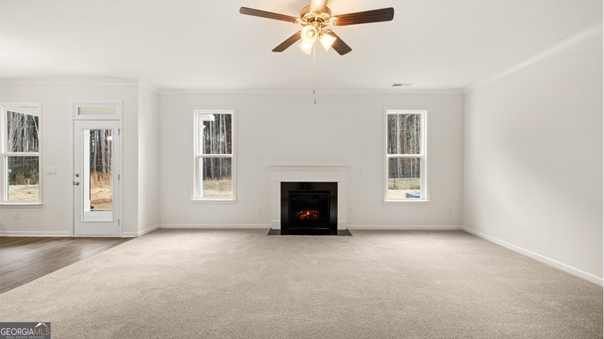 13262 TOLSTOY Drive Covington - 9