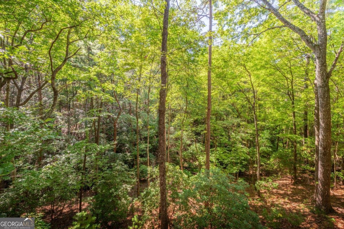 129 Cherokee Drive Blue Ridge - 23