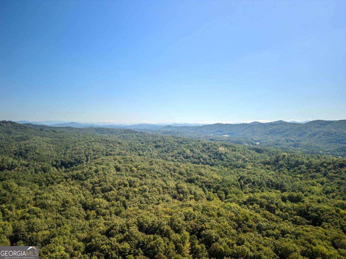 129 Cherokee Drive Blue Ridge - 25