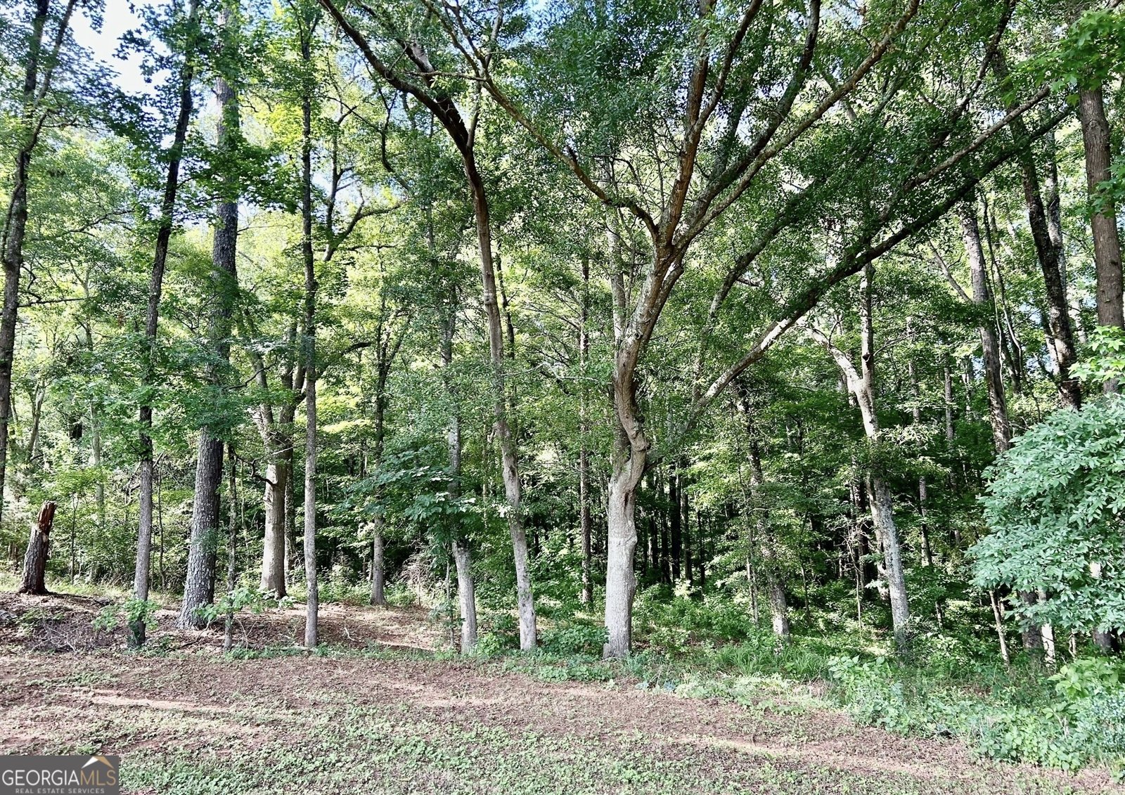 105 Magnolia Drive Monticello - 57