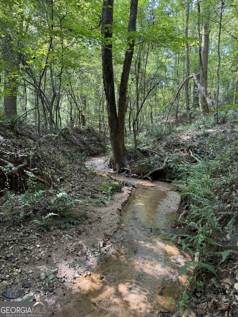 105 Magnolia Drive Monticello - 66