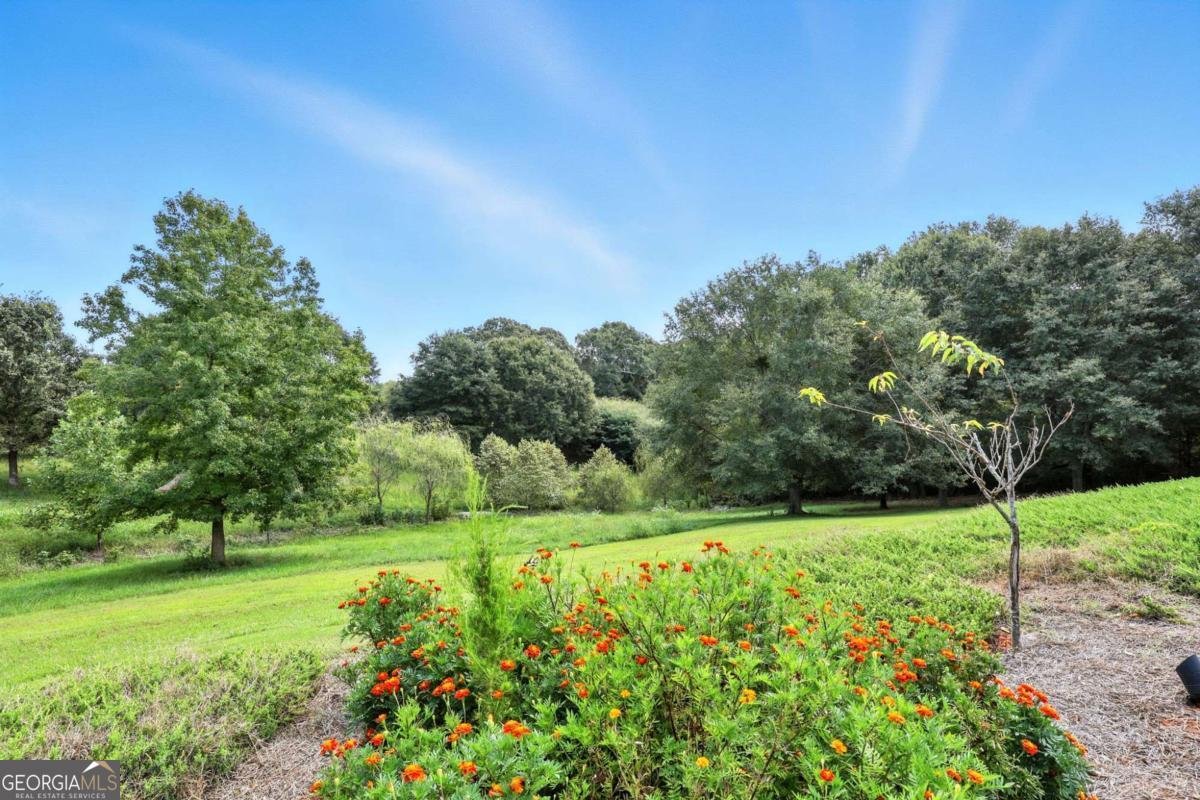 1620 Pond Fork Church Road Talmo - 52