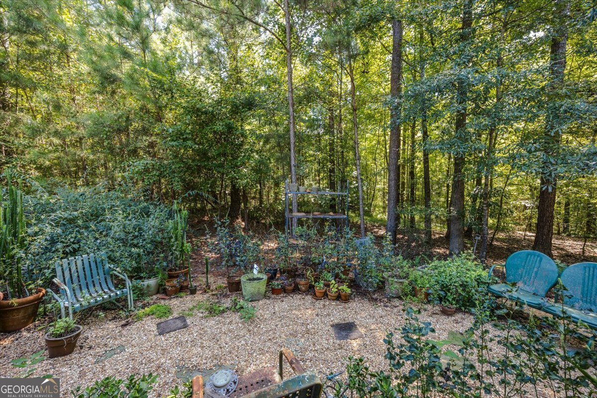 111 Piedmont Circle Forsyth - 15