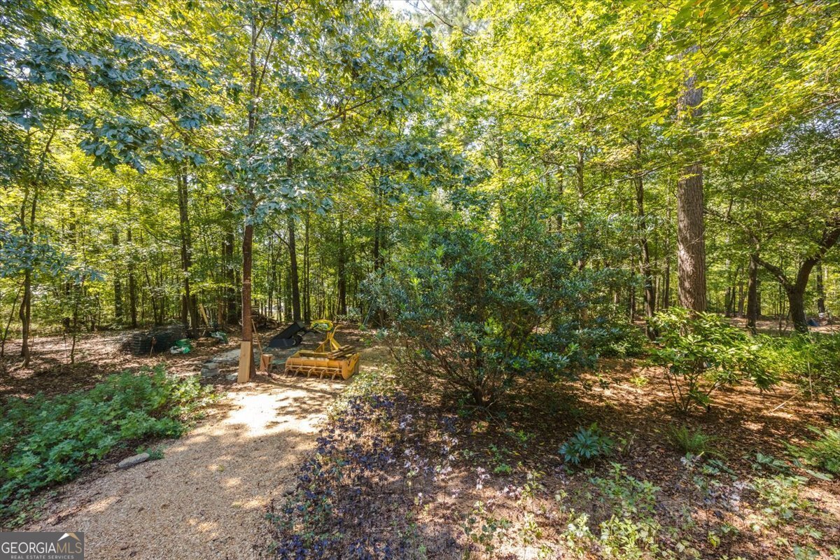 111 Piedmont Circle Forsyth - 16