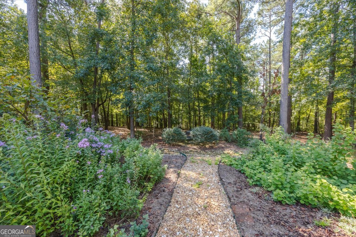 111 Piedmont Circle Forsyth - 23