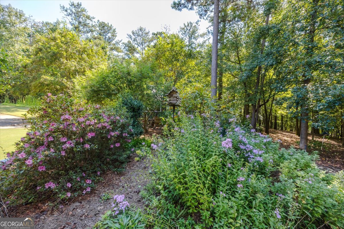 111 Piedmont Circle Forsyth - 24