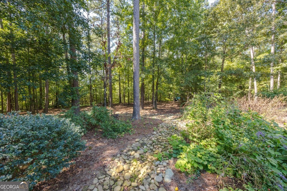 111 Piedmont Circle Forsyth - 25