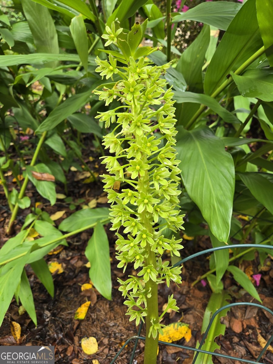 111 Piedmont Circle Forsyth - 30