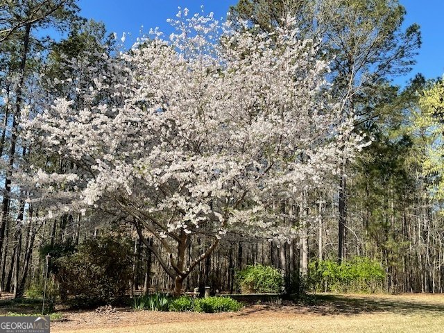 111 Piedmont Circle Forsyth - 32