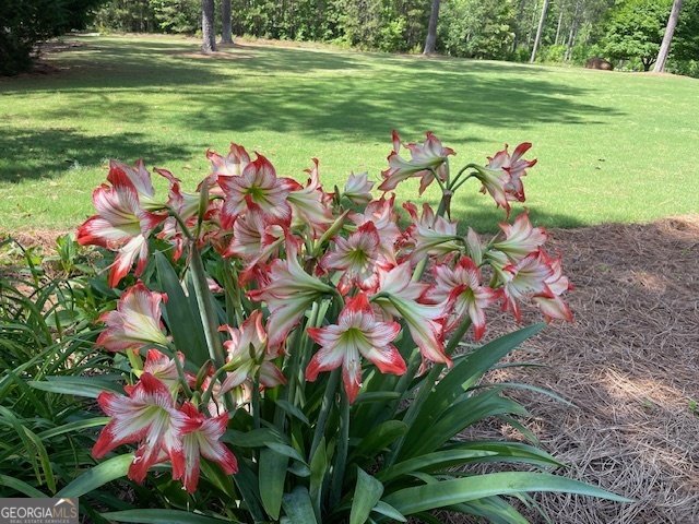 111 Piedmont Circle Forsyth - 33