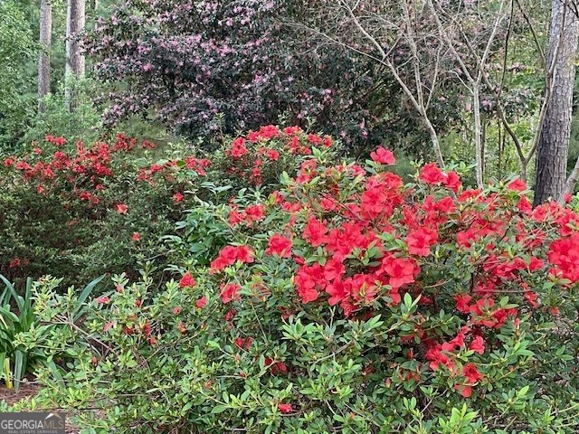 111 Piedmont Circle Forsyth - 34