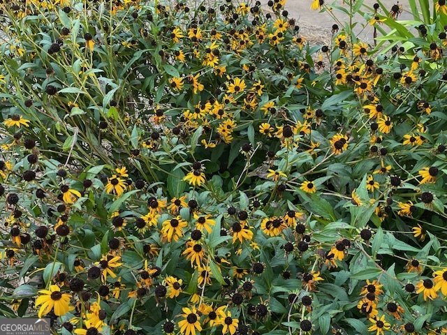 111 Piedmont Circle Forsyth - 35