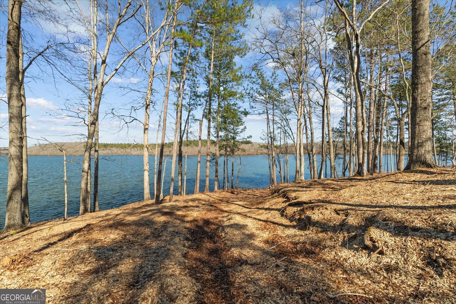 840 Old Driver Road Whitesburg - Photo 101