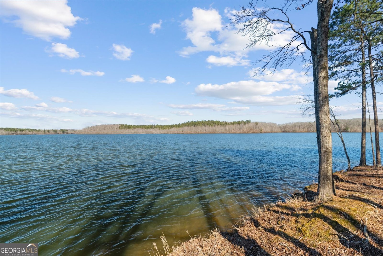 840 Old Driver Road Whitesburg - Photo 102