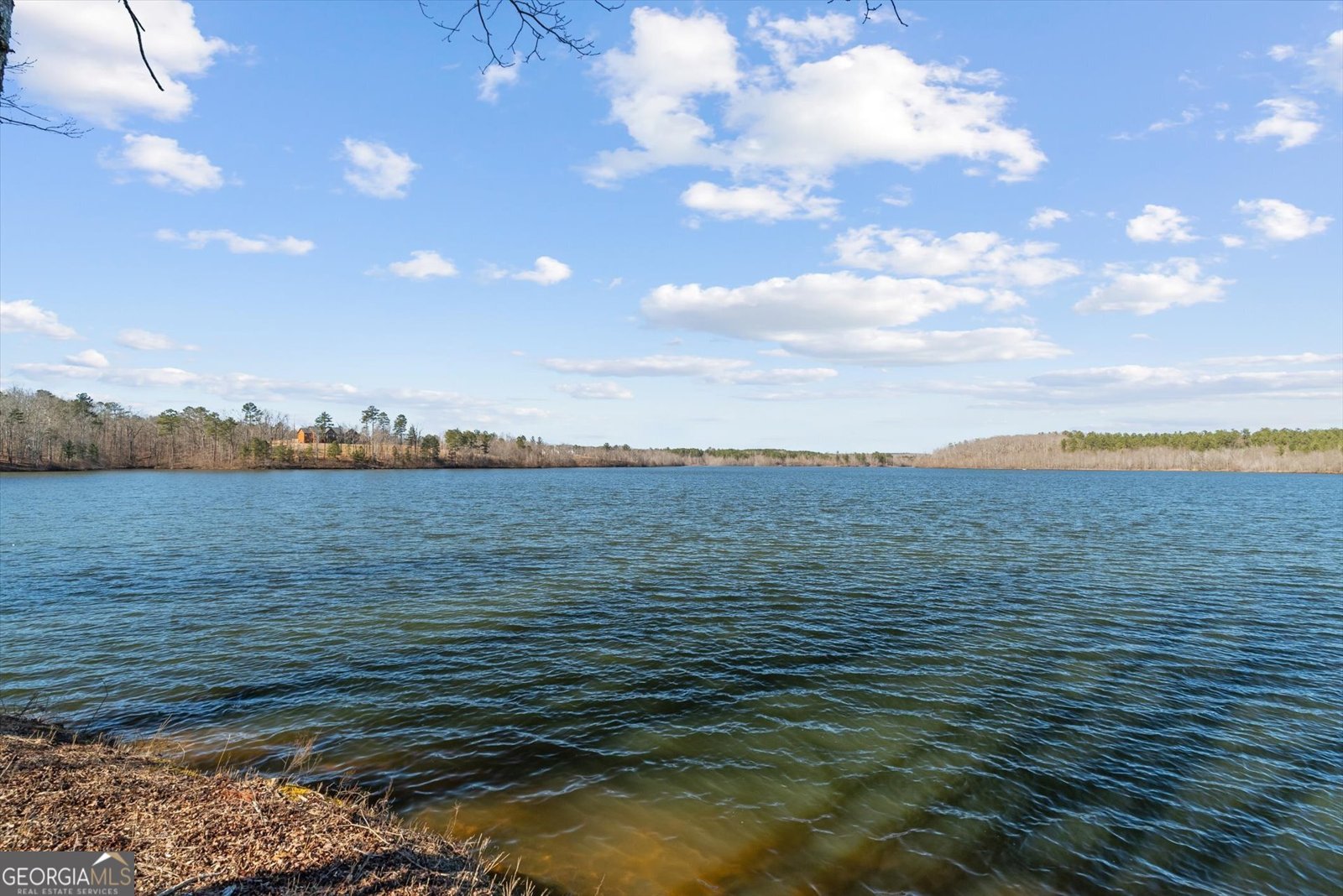 840 Old Driver Road Whitesburg - Photo 103