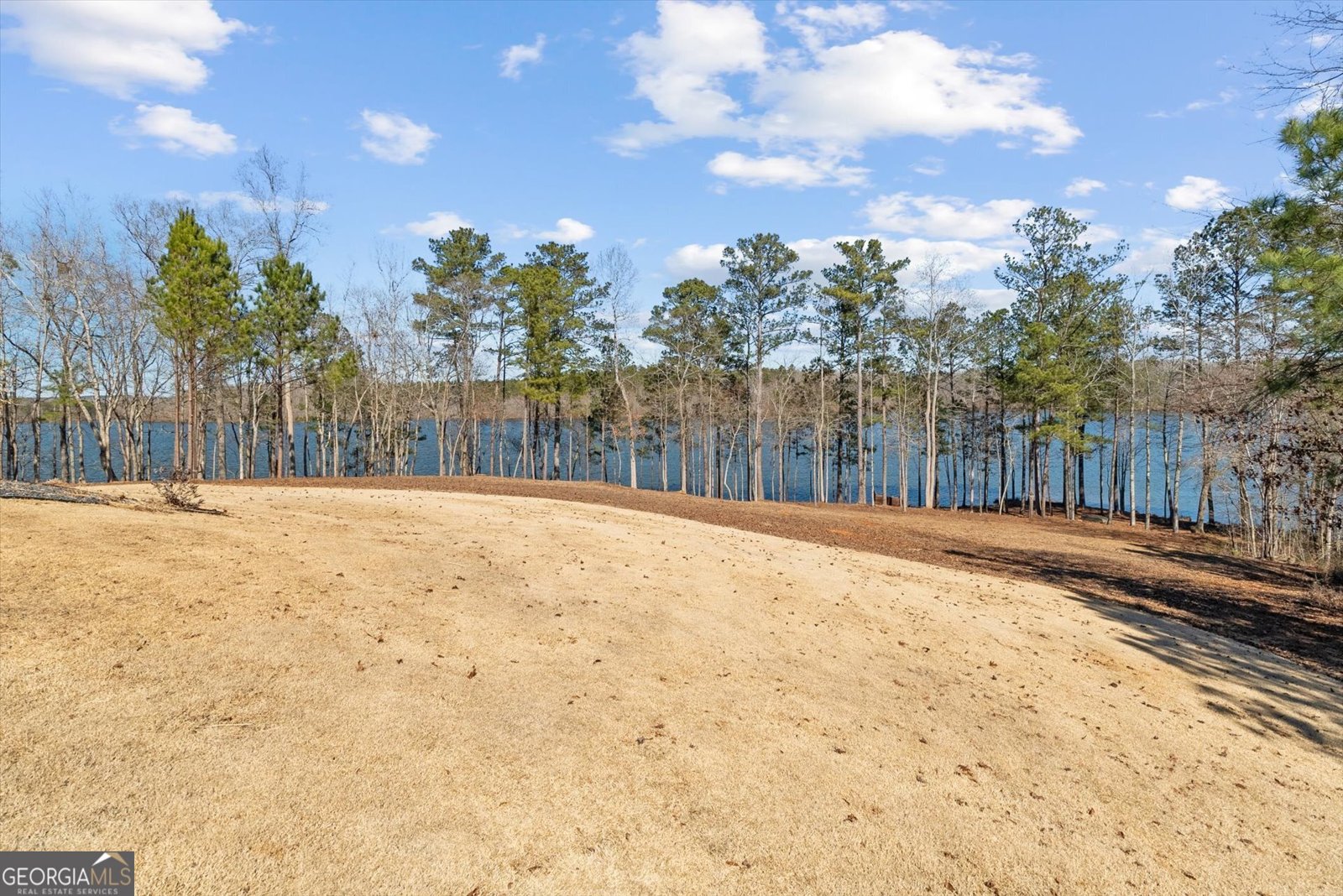 840 Old Driver Road Whitesburg - Photo 97