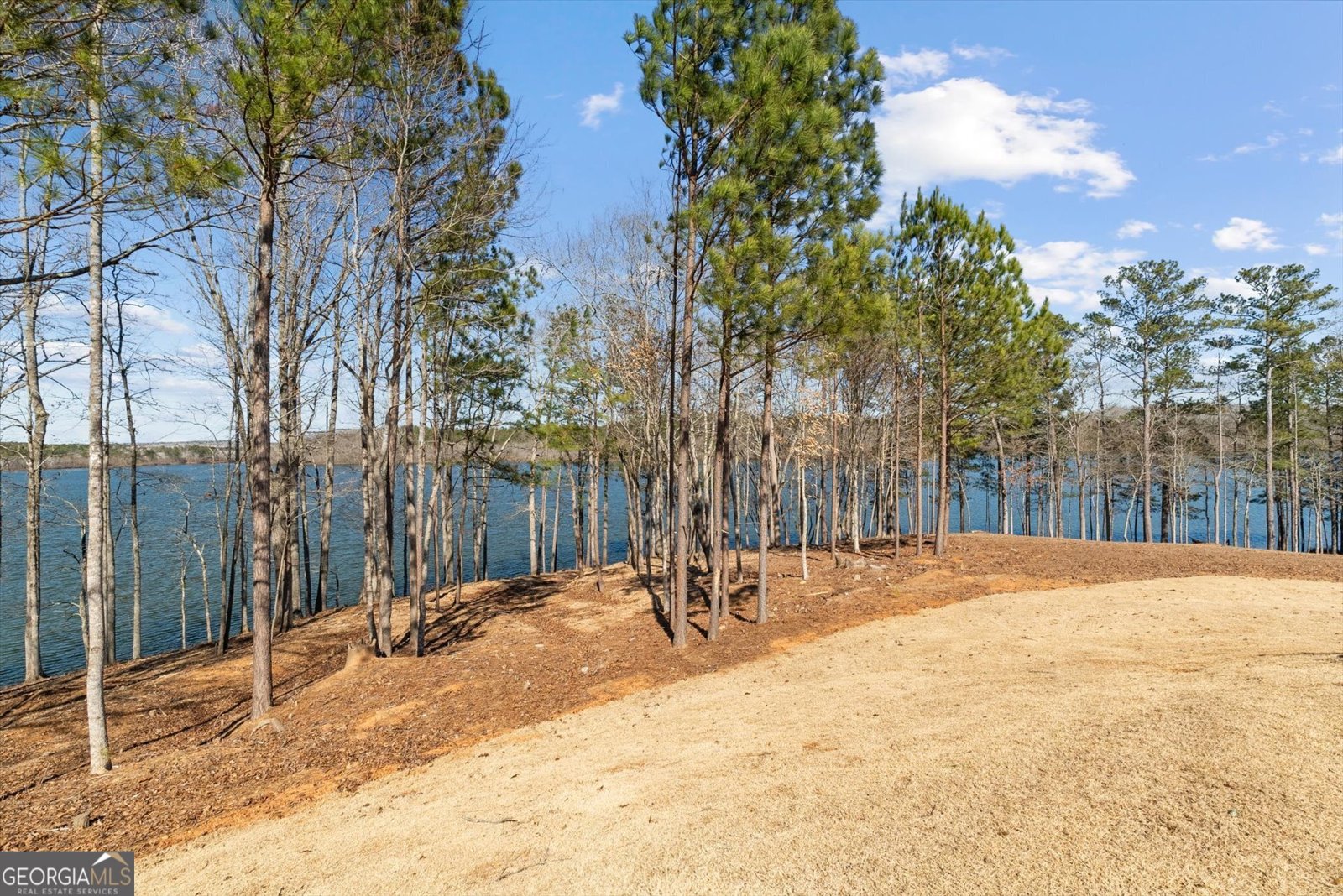 840 Old Driver Road Whitesburg - Photo 99