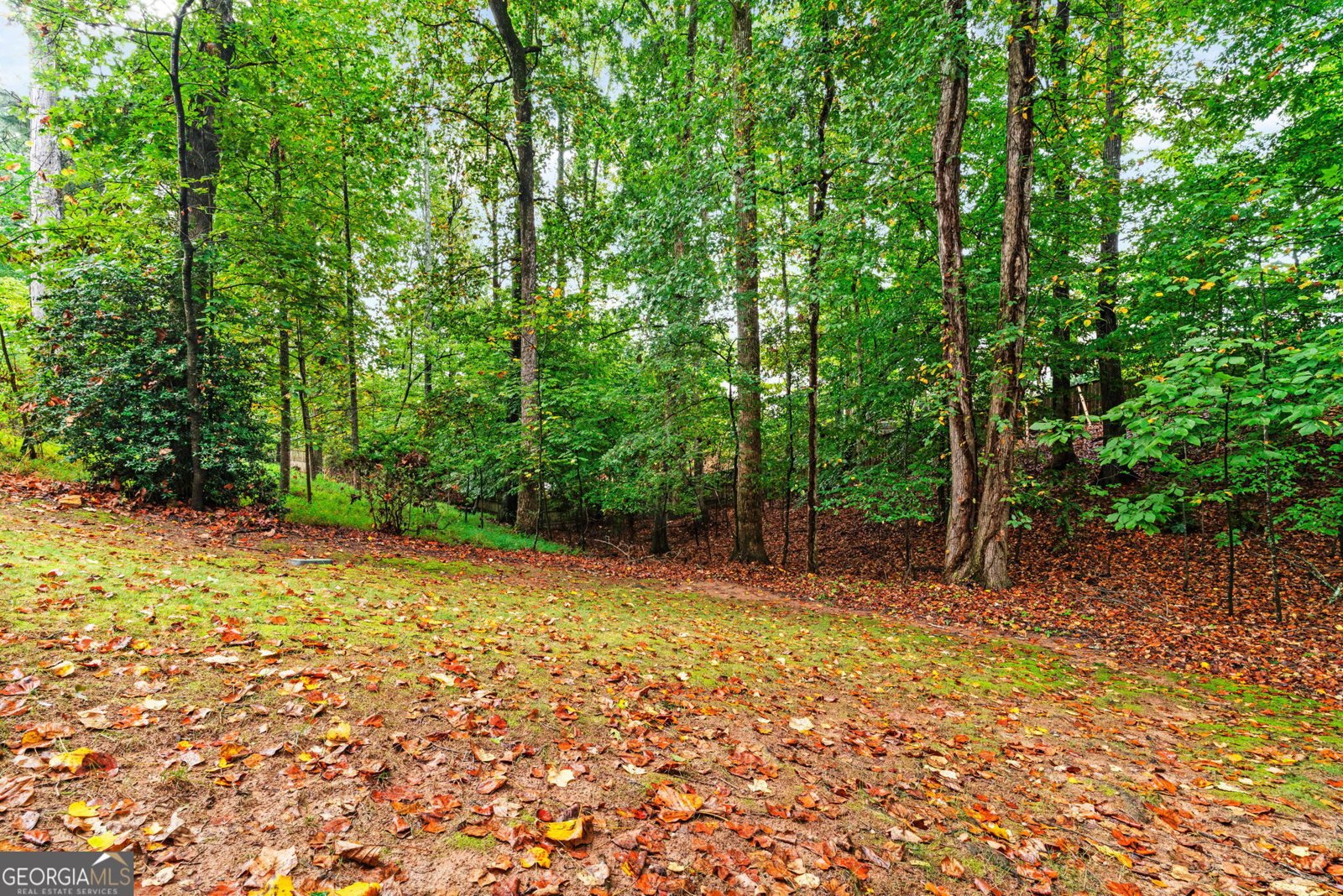 11120 Crofton Overlook Court Johns Creek - 47