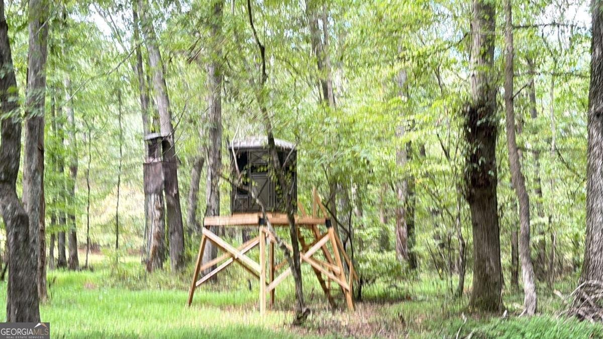 91 Goodlin Road Palmetto - 34