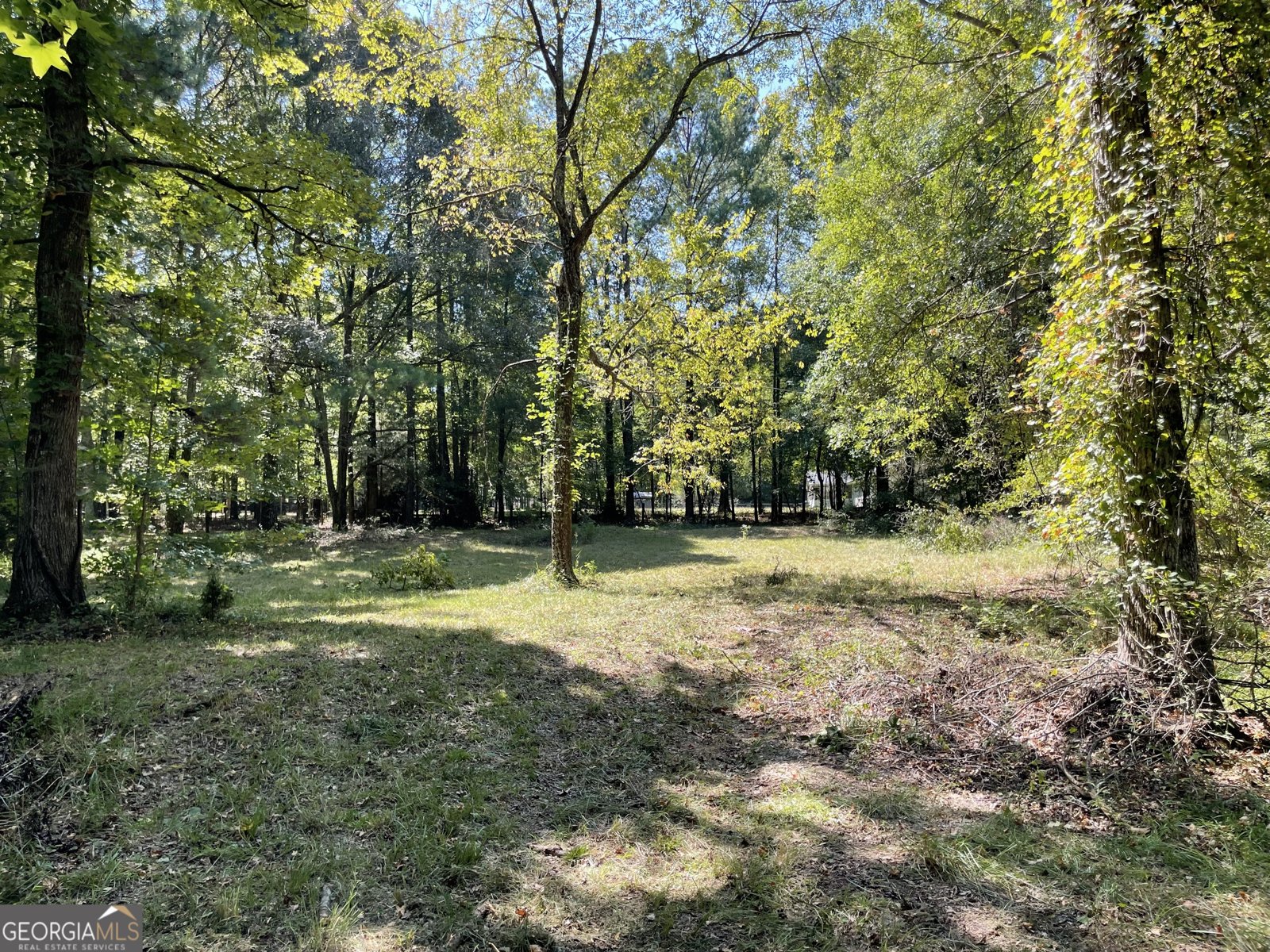 114 McBride Road Fayetteville - 60