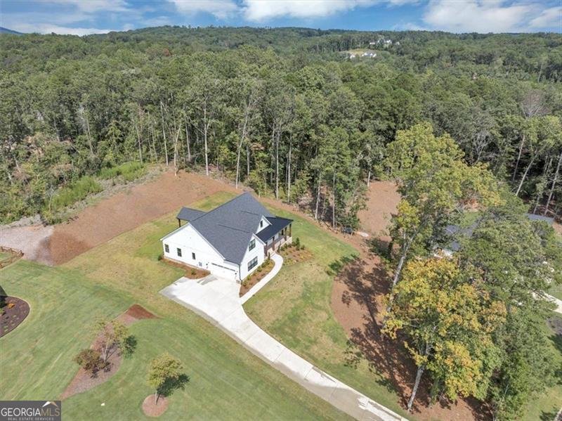 960 Oxford Road Ball Ground - 52