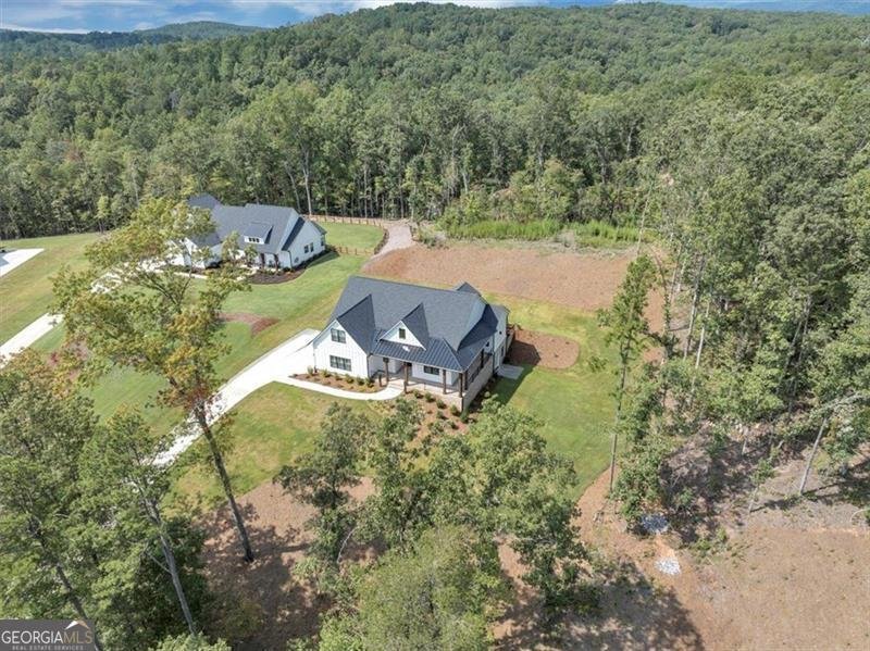 960 Oxford Road Ball Ground - 53