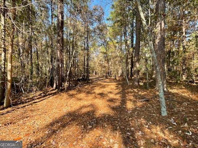 3195 Middleground Road Statesboro - 24