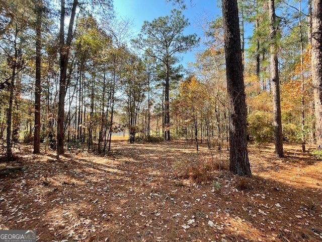 3195 Middleground Road Statesboro - 25