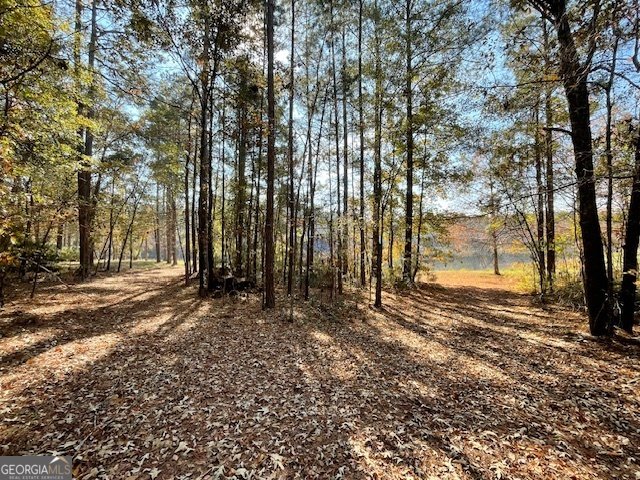 3195 Middleground Road Statesboro - 26