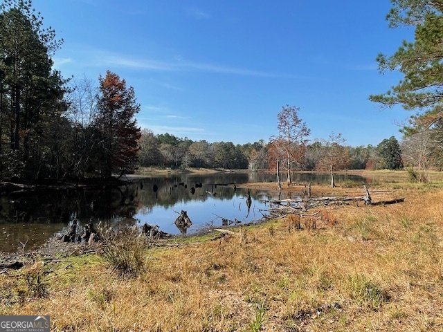 3195 Middleground Road Statesboro - 9