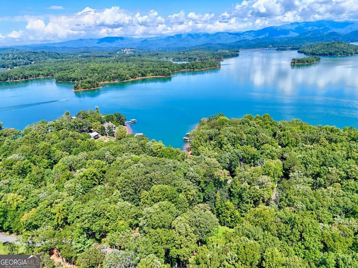 2204 Cedar Cliff Road Hiawassee - 2