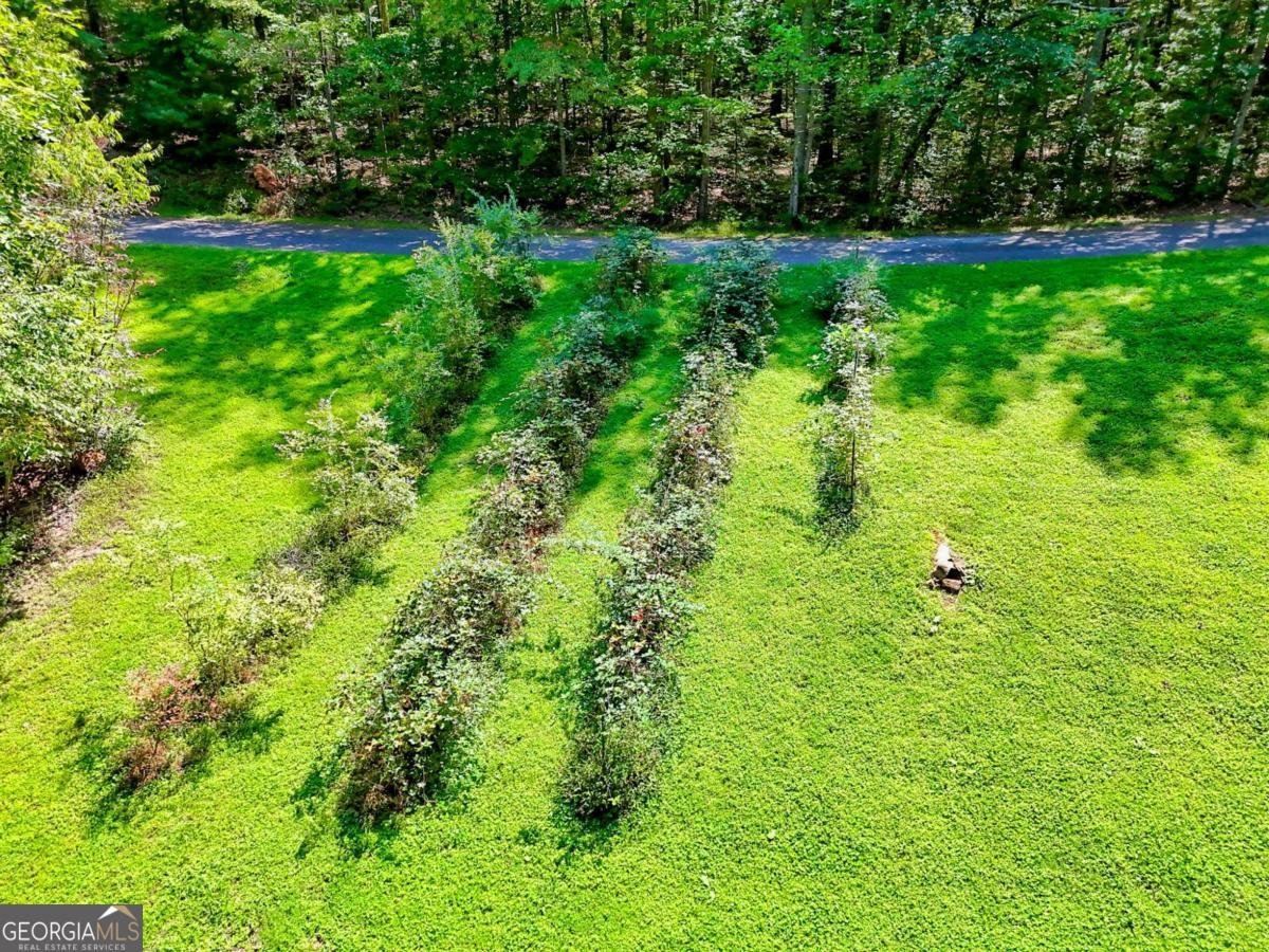 2204 Cedar Cliff Road Hiawassee - 77