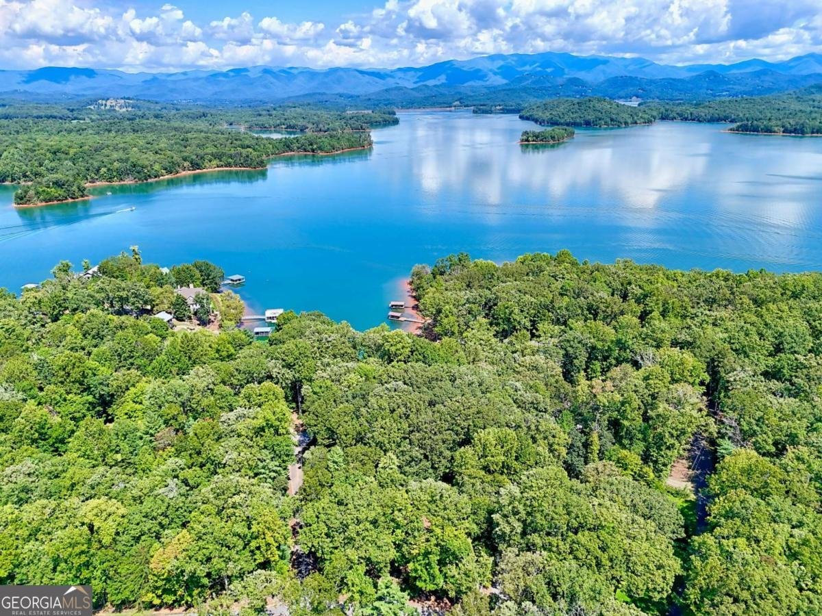 2204 Cedar Cliff Road Hiawassee - 80