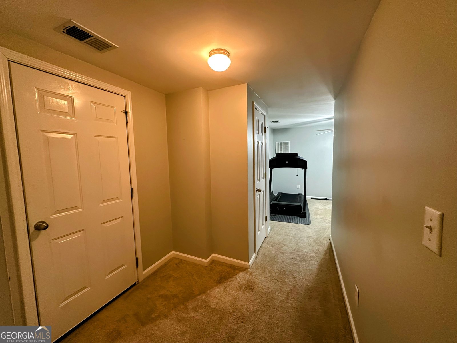 46 Red Cedar Way Dallas - 29