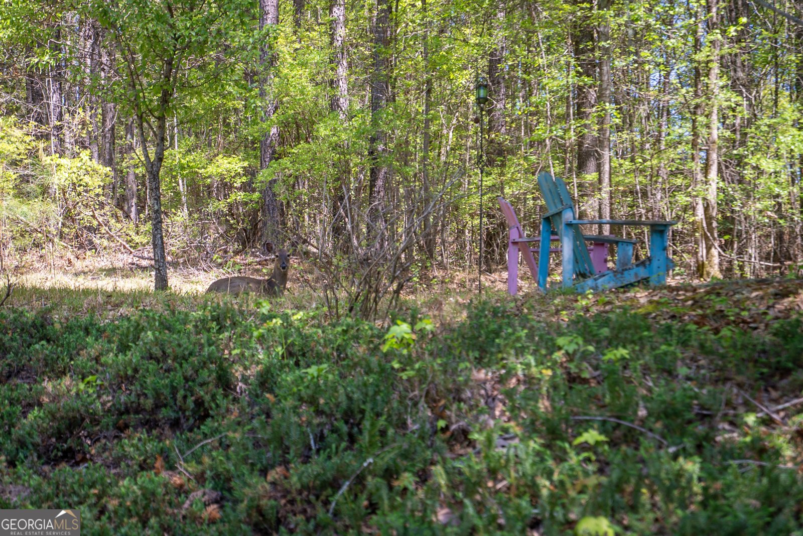 1660 Maple Ridge Drive Loganville - 63