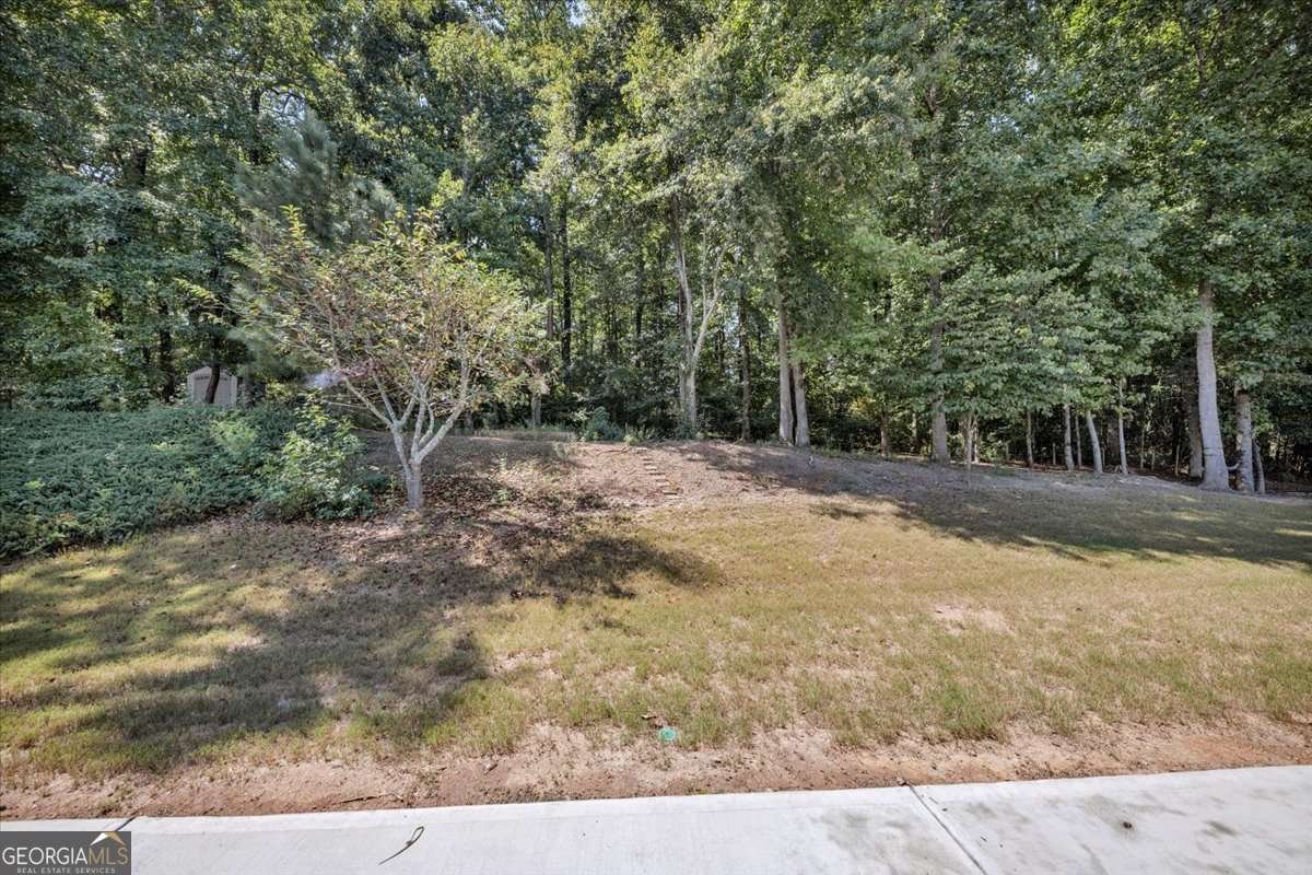 5355 Concord Downs Drive Cumming - 41