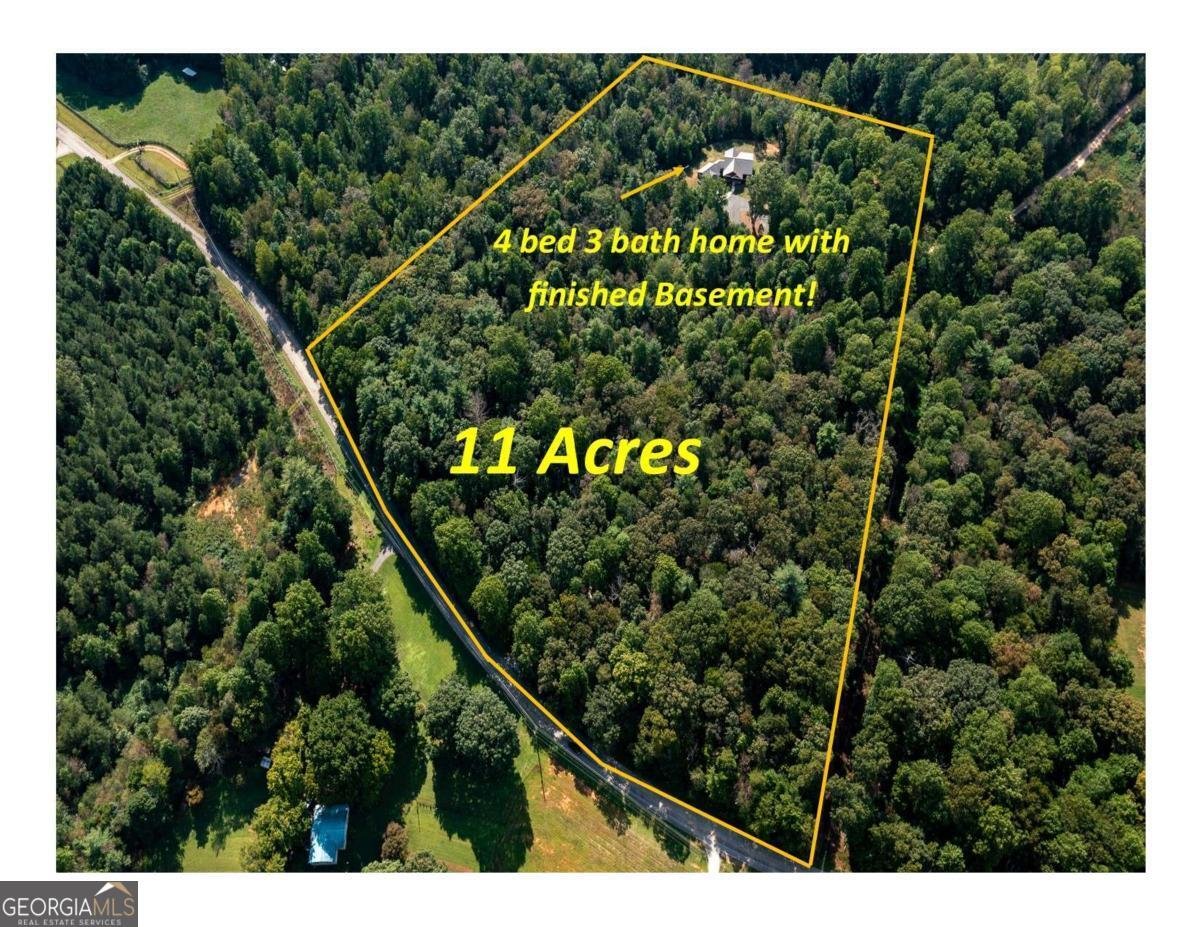 117 Joes Cove Dawsonville - 2