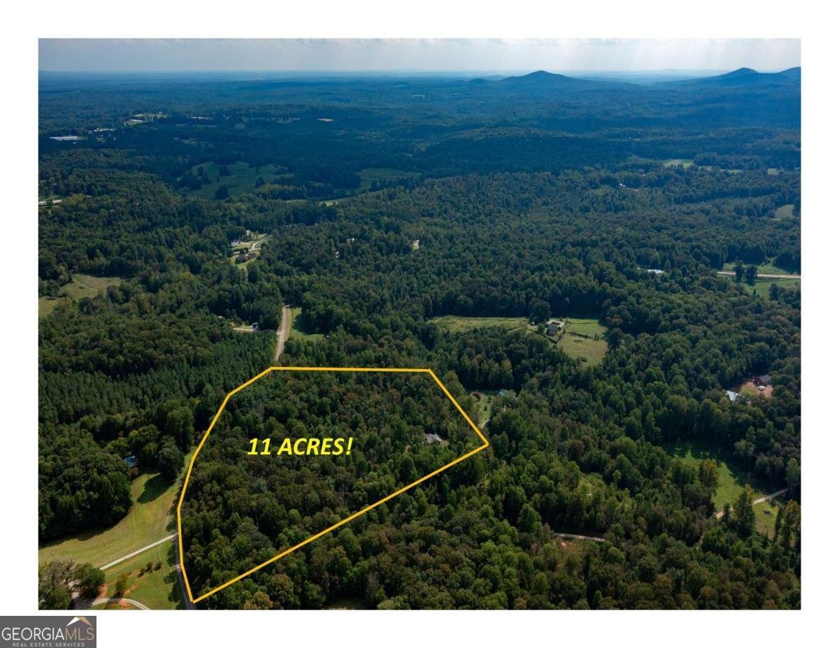 117 Joes Cove Dawsonville - 3