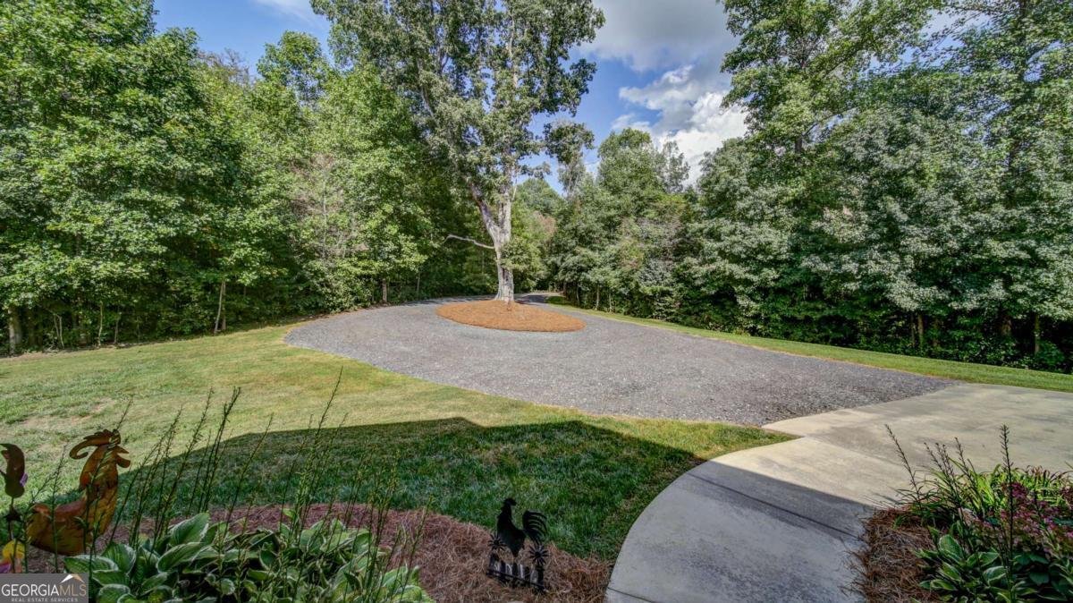 117 Joes Cove Dawsonville - 45