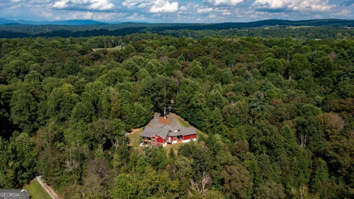117 Joes Cove Dawsonville - 56
